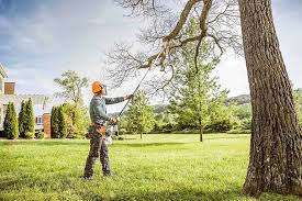 Best Tree Disease Treatment  in Mondovi, WI